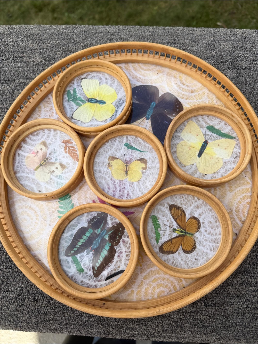 Bamboo Glass Butterfly Coasters — Set of 7